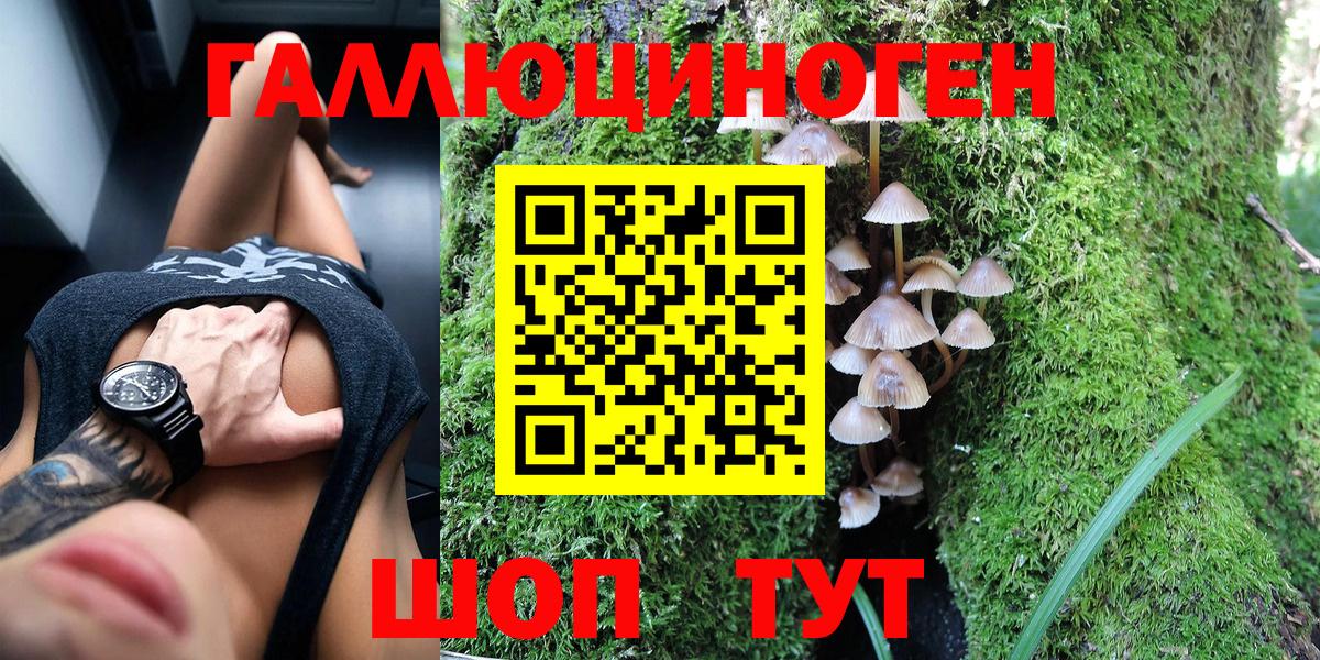 Псилоцибиновые грибы Psilocybine cubensis  Галлюциногенные грибы GOLDEN TEACHER  Тамбов  Вход с VPN 